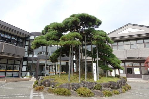 令和3年度 富谷市民図書館等複合施設基本設計策定業務委託(繰越)