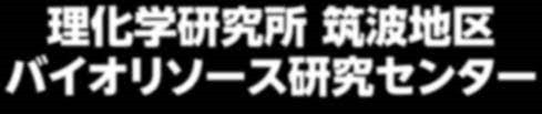 筑波地区高精度医療モデル動物リソース棟建設工事基本設計業務