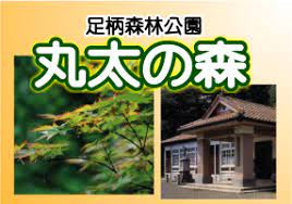 令和5年度南足柄市丸太の森ちびっこ冒険広場整備業務委託