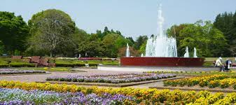 茨城県植物園等魅力向上対策基本設計業務委託