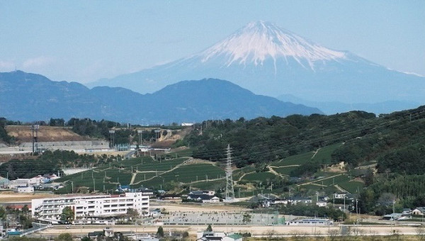 榛原地域義務教育学校建築設計業務等委託