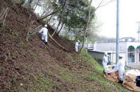 (仮称)白石市認定こども園・子育て支援拠点施設基本設計業務