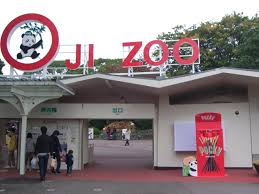 王子動物園管理事務所・動物病院等整備工事設計業務