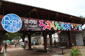 「道の駅うつのみや ろまんちっく村」再整備基本計画策定支援業務
