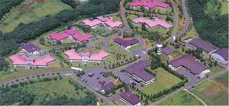 中山の園改築等工事設計業務