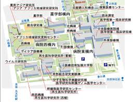 京都大学(南部)総合研究棟(医学部C棟)改修(建築)基本設計業務