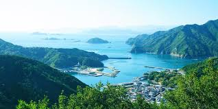 令和8年度 大紀町新庁舎整備基本設計業務委託