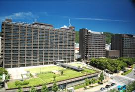 兵庫県新庁舎等整備プロジェクト基本計画策定支援業務