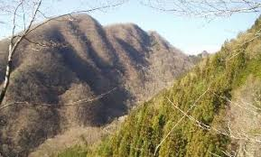 東京農工大学(群馬神戸上の平)FM大谷山実習宿泊棟改修設計業務