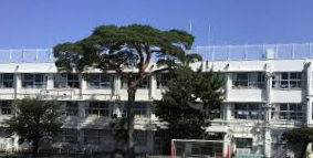 世田谷区立玉川小学校改築に伴う整備方針策定支援業務委託