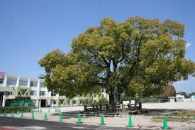 日進市立西小学校移転改築基本設計業務