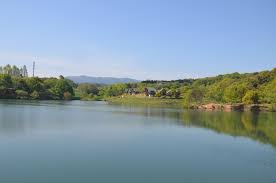 上毛町大池公園東側飲食施設等整備事業基本・実施設計業務委託