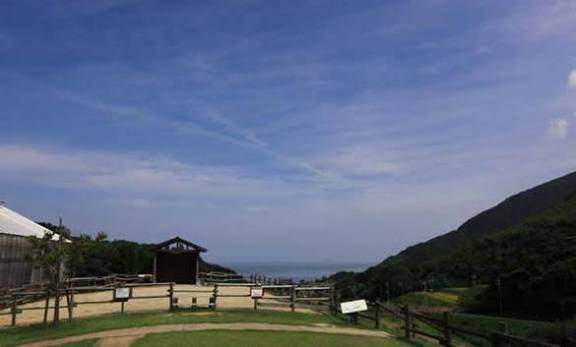 農業公園ビュースポットデッキ(イートインスペース)設計整備業務委託