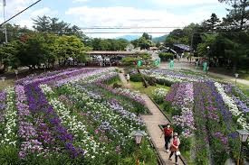 令和8年度長井市文教の杜エリア整備基本設計業務