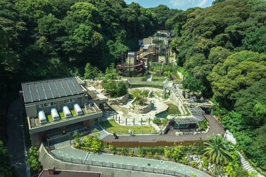 動植物園再生事業基本設計等業務委託(第 2 期整備その1)