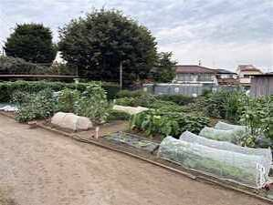 練馬区立土支田農業公園改修基本設計委託